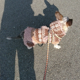 またまたお外の画像