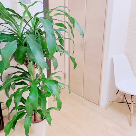 147通目　厳選した物の中で暮らすと自己肯定感が高まるの画像