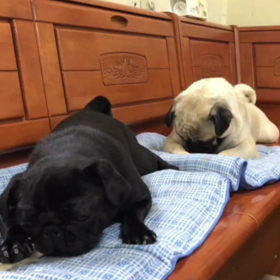 今日のさくらももこの画像