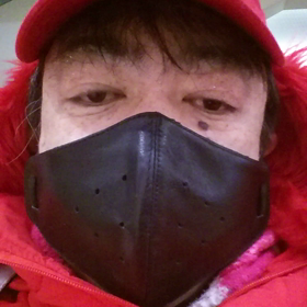 動画でどうだ2の画像