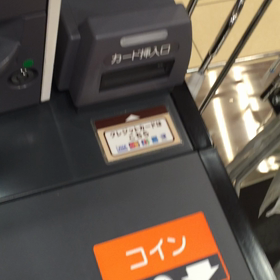 カワイイ。。。の画像