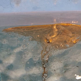 ご飯ちょうだいの画像