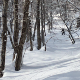 撮影してますの画像