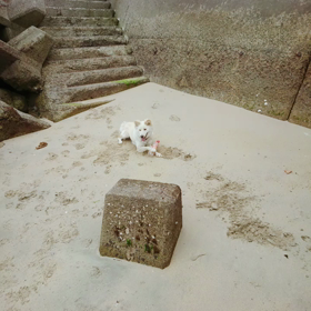 ご無沙汰してます♡の画像