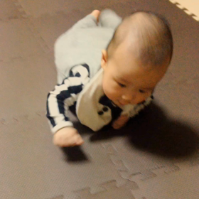 たーたん動画✍ずりばい（5ヶ月と0日）の画像