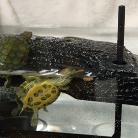 じれったいの画像