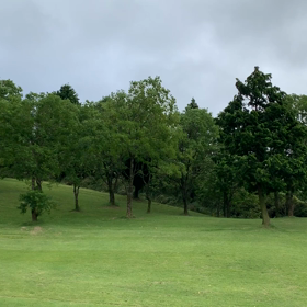 クソ風強ぇぇわ(￣^￣)の画像