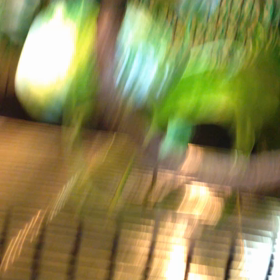 食べられるコオロギ！カメレオンが・・レオパが・・の画像