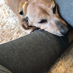 腫瘍の経過 爪 肛門 マタニティヨガの画像