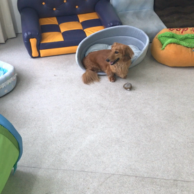 ♪プレイルーム動画♪②の画像