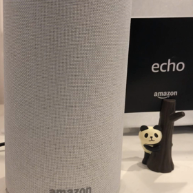 毎朝の楽しみの画像