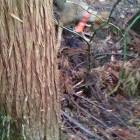 H31のお山ハジメの画像