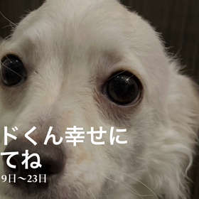レッドくん幸せになってね☺️の画像