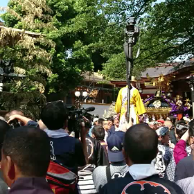 旗岡八幡神社宮神輿お披露目渡御の画像