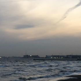 9.幕張の浜／歩く人／動画の画像
