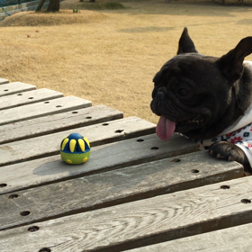 取れそうで取れない⁉︎の画像