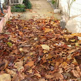 静かだねぇ～の画像