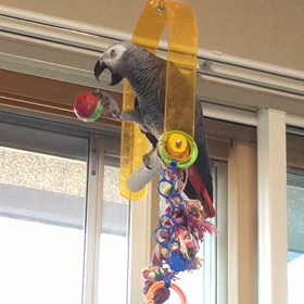 最近のお気に入りの画像