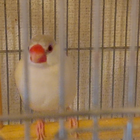 ブランコゆらゆらの画像