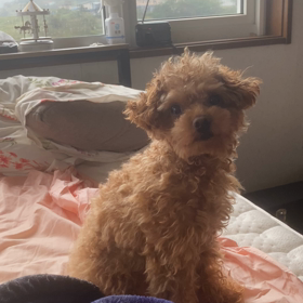 朝から！の画像