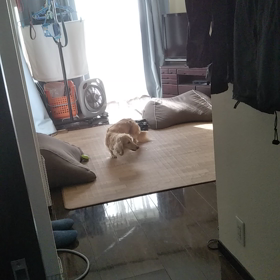 勘弁して下さいm(__)mの画像