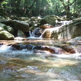 宮崎県の天国のような避暑地?祝子川源流地帯中瀬松谷動画版の画像