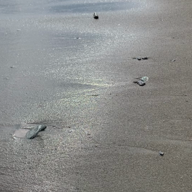 2020 夏至の新月にての画像