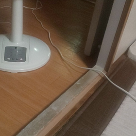 動いてるにゃんこまめぞう(^ー^)の画像