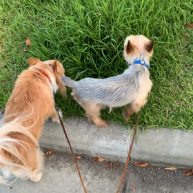 お泊まり中のの画像