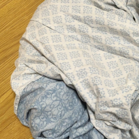 恐怖！シーツ怪獣の画像