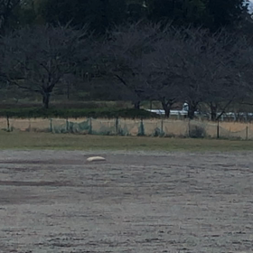 熱男監督vs4番の画像