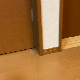 子猫を保護の画像