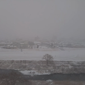 雪の画像