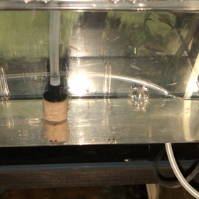 残念なお知らせ。の画像