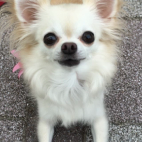 元気だよーの画像