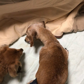 行き止まりでーすの画像