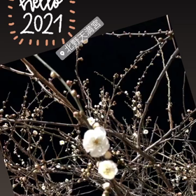 2021年になりました♡の画像