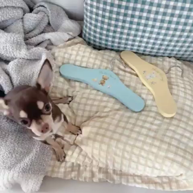 February 18, 2022の画像