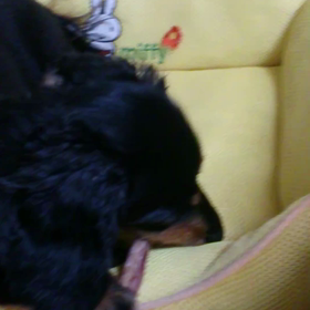 上手にお手て使って～の画像