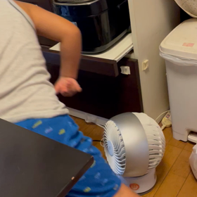 風をまたぐ辰！の画像