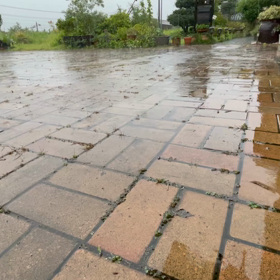 散水お休みの画像