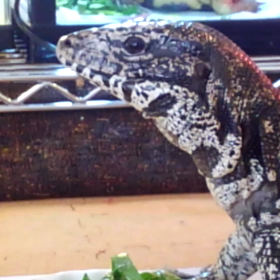 絹ごし豆腐・・・ちなみにの画像