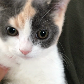 皆さんおはよ！の画像