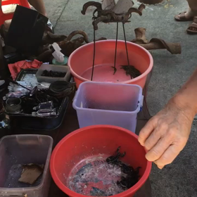 日曜散歩。。。ＩＮ中国の画像