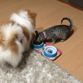 餌をとられる❣️の画像