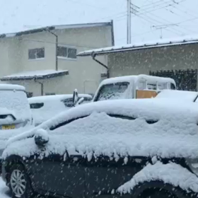 雪の画像