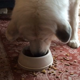 後片付け嬉しいけど?の画像