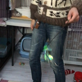 トライアルへの画像