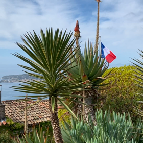 今日は初夏のフランス旅をかんじようの画像