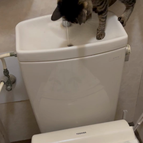 お水大好き【もちこさん】の画像